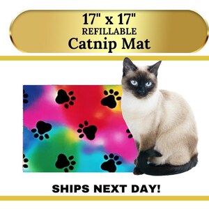 Ultimate Catnip Blanket for Cats - Refillable, Cozy, and Fun 17x17 Ma
