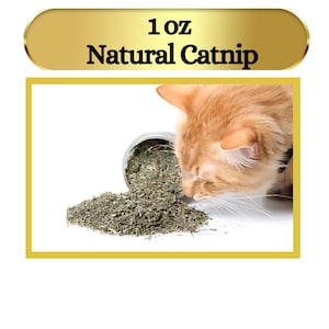 Strong Natural Catnip with Free Mini Pillow for Cats - Fresh and All-Natural - Premium Catnip