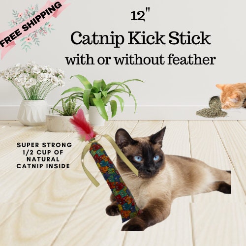 Cat Feather Toys Interactive Cats - Dorakitten Cat Powerful Suction Cup  Handheld Teaser Wand Toy and 5PCS Replacement Feather with Bell for Kitty