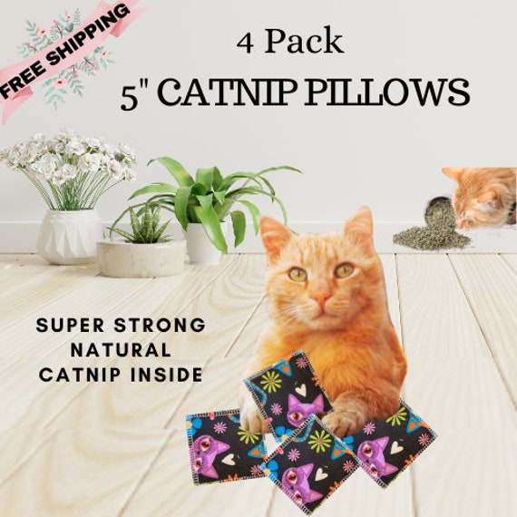 Catnip pillows for cats cheap