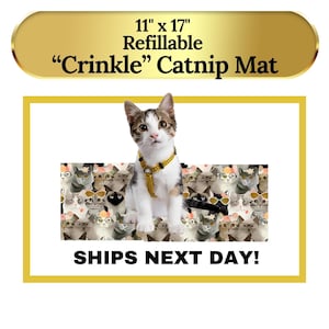 Fun Catnip Crinkle Mat for Cats - Natural & Engaging Toy!