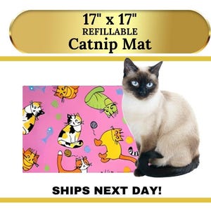Catnip Blanket Mat: Handmade Crinkle Cat Toy