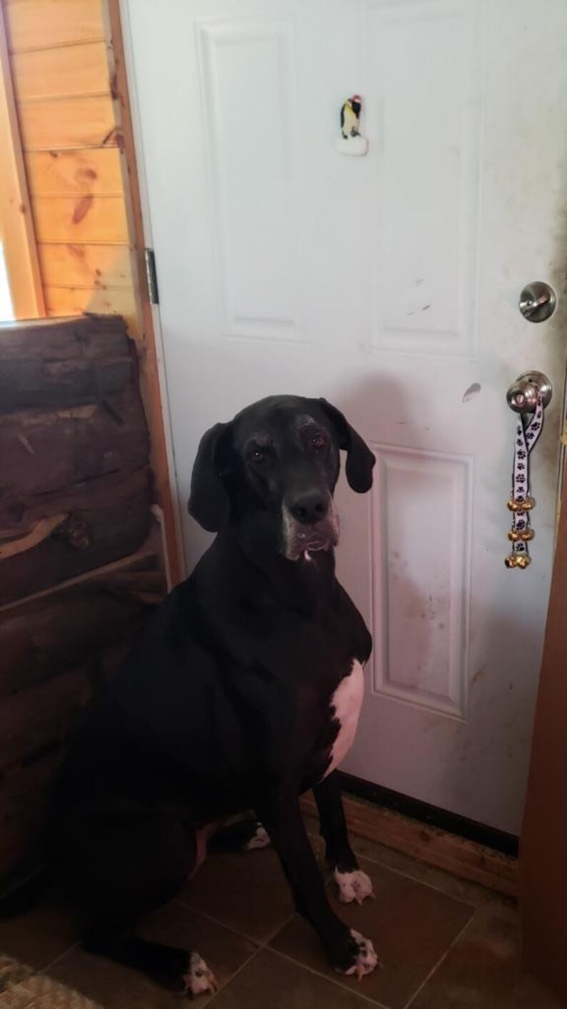 Potty Bells Dog Potty Training Dog Bells Dog Door Bell Paw Etsy