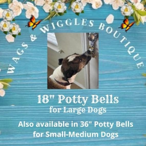 Are Service Dogs Potty Trained