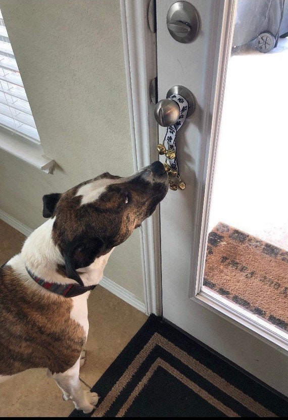 potty training puppy with bell on door
