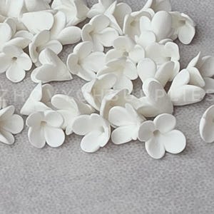 May include: A collection of small, matte white flower-shaped beads or embellishments, each featuring five rounded petals arranged in a circular pattern. The pieces are scattered across the frame, showing a consistent opaque white finish throughout.