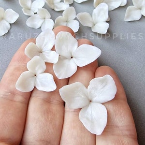 Puede incluir: Una colección de pétalos de flores de hortensia blancos, perfectos para manualidades y arreglos florales.