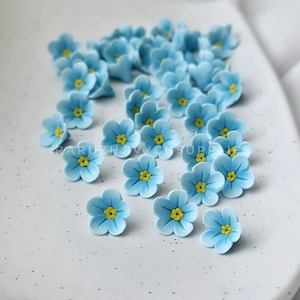 Puede incluir: Una colección de pequeñas flores de color azul claro de cinco pétalos con centros de color amarillo brillante, esparcidas sobre una superficie blanca moteada. El texto "RARUZHOVYCHSUPPLIES" es visible en el centro de la disposición de estas piezas florales.