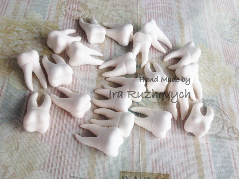 Tooth Made of Polymer Clay Etsy