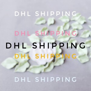 DHL shipping