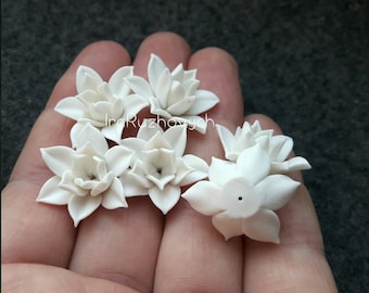 May include: Six white ceramic flower embellishments with a hole in the centre of each flower. The flowers have five petals each.