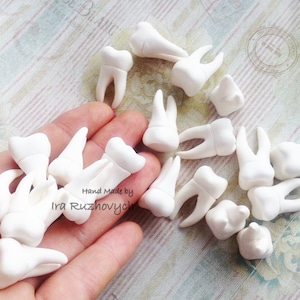 tooth made of polymer clay