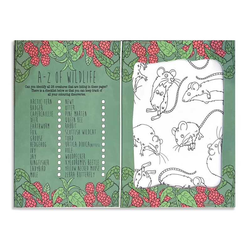 May include: A black and white illustration of a page from a children's book. The page features a checklist of 26 animals, including a badger, deer, fox, and hedgehog. The checklist is titled "A-Z of Wildlife". The page also features a black and white illustration of a mouse.