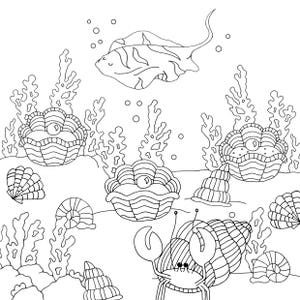 May include: A black and white line drawing of an underwater scene with a stingray, sea shells, coral, and a crab.