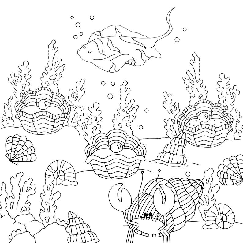 May include: A black and white line drawing of an underwater scene with a stingray, sea shells, coral, and a crab.