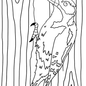 May include: A black and white line drawing of a woodpecker perched on a tree trunk. The woodpecker has a long beak and a distinctive pattern of feathers.