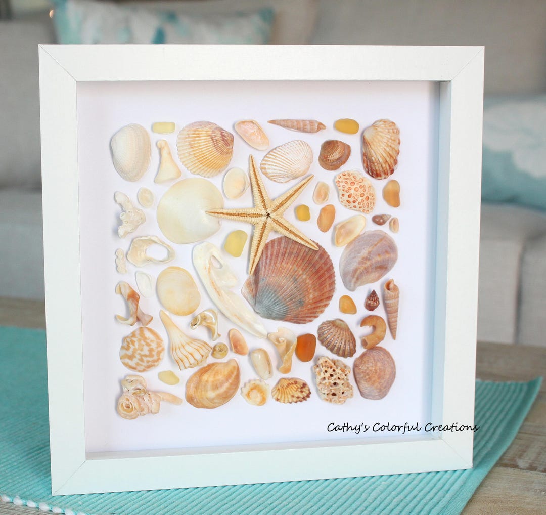 Shell Shadow Box, Shell Art, Shadow Box Art, Shadow Box Frame, Shell ...