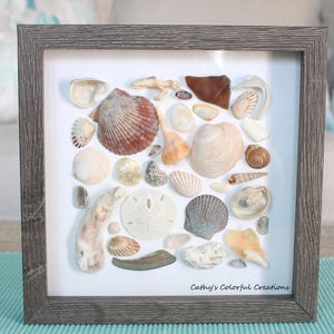 May include: A framed collection of various seashells, including scallops, conchs, and sand dollars, arranged on a white background. The frame is a weathered gray, and the artwork is displayed on a teal surface. The text "Cathy's Colorful Creations" is visible.
