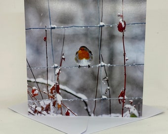 Robin in the Snow Photo Christmas Cards