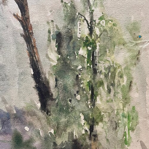 1950s French Vintage Watercolor painting on shops paper. Landscape in France with pine tree.