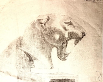 Dessin ancien au fusain des années 1890 sur papier. Tête de panthère. Portrait animalier. Dessin académique.