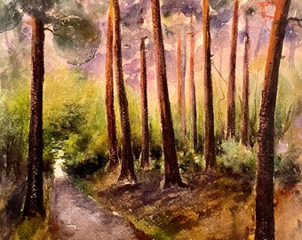1910s French watercolor painting on thick paper. Stream through the pine trees.
