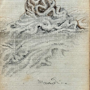 1850s French Antique graphite pencil drawing on sketch book page. Scientific study of Brain Coral. Sea creatures. Marine animals.