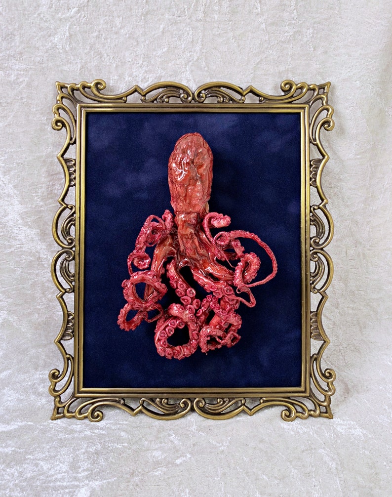 Vintage Frame Large Preserved Octopus Blue Velvet