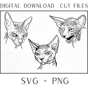May include: Three black and white line drawings of Sphynx cats with different expressions. The cats are looking in different directions. The image is on a white background with a wavy pattern.