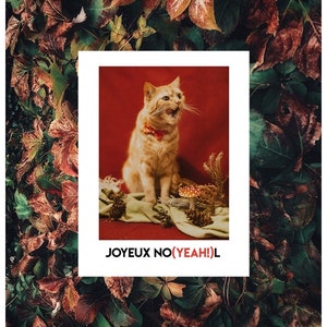 YEAH !, Maxi carte de vœux en papier velours