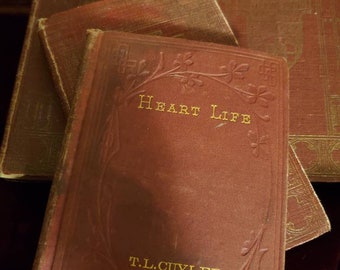 Set of 4 Vintage Antique Books: Sheldon, Stevenson, Ouida & Cuyler
