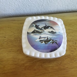 Ceramic Square Ring/Jewelry Box (#1083)-fired on decal of Killer Whales