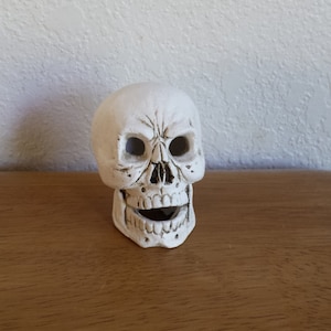 Ceramic Small Skull (#224)