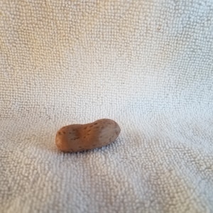 Ceramic Peanut (#15)