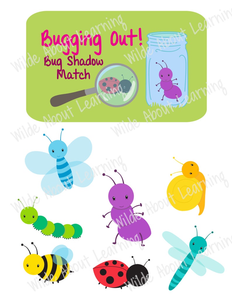Bug Shape Match Insect Sorting Skills Folder Game Instant Etsy
