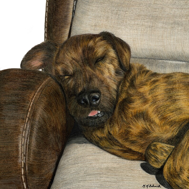 May include: A brown and black dog with its eyes closed is sleeping on a brown leather armchair. The dog's tongue is sticking out slightly.