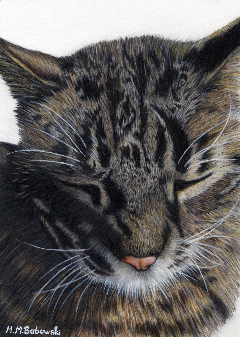 May include: A close-up of a tabby cat with its eyes closed. The cat has a white patch on its chin and a pink nose. The cat's fur is brown, black, and white.