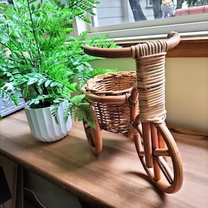 May include: A decorative tricycle-shaped planter crafted from light brown woven rattan and wicker. The structure features a circular basket seat, a front wheel, and handlebars wrapped in coiled rattan, positioned next to a green plant in a white pot.
