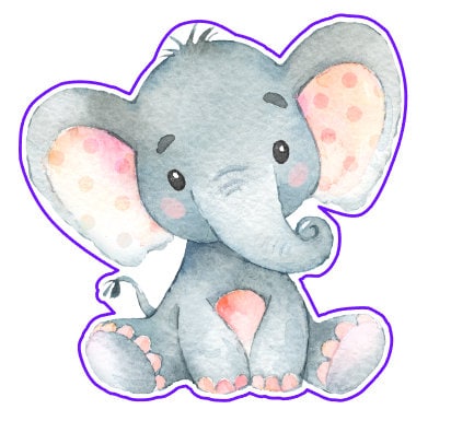 Elephant 23