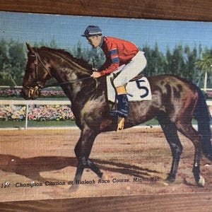 Vintage Champion Zitat Rennpferd Pferd Hialeah Pferderennbahn Miami Florida 1930er Jahre