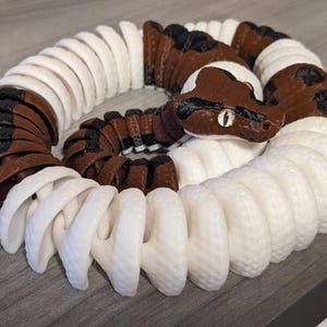 May include: A 3D-printed articulated snake toy in a coiled position. The snake features a brown and white color scheme with black spots. The head is brown with a detailed eye. The toy is designed to be flexible and poseable.