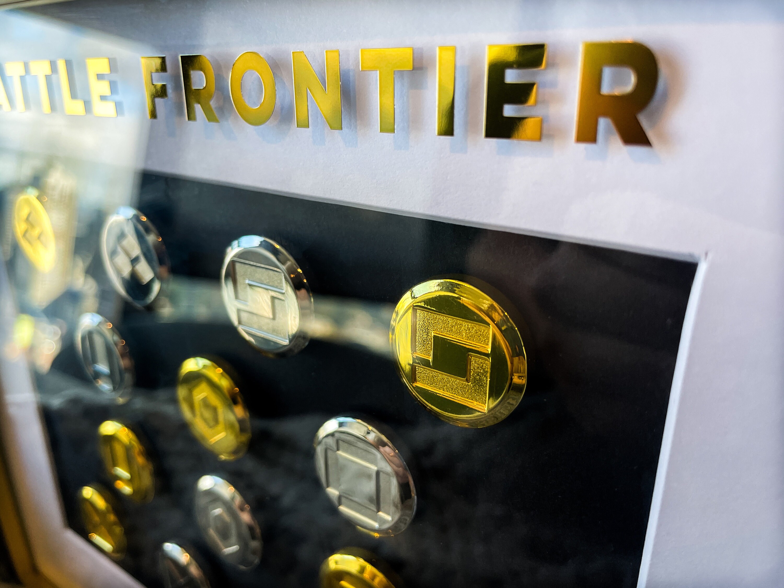 フレーム付きコンプリート14 ホウエン バトルフロンティア ブレインズ