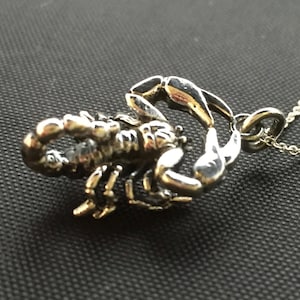 Scorpion Pendant / charm - Sterling Silver