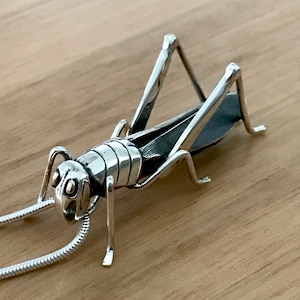 Grasshopper Pendant- One-off piece by Michael Davidson