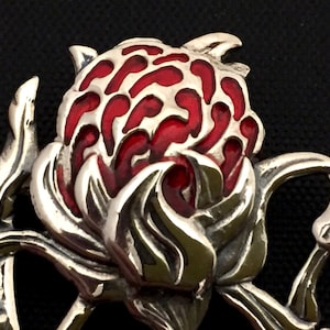 Large Waratah brooch- sterling silver, cold fill enamel