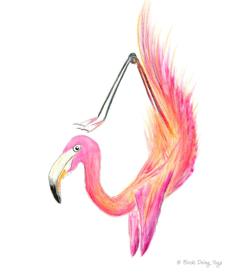 Cute Cartoon Flamingo Yoga Pose Character Stock Vector (Royalty Free)  1469037833 | Shutterstock