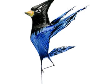 Stellar Jay in Tree