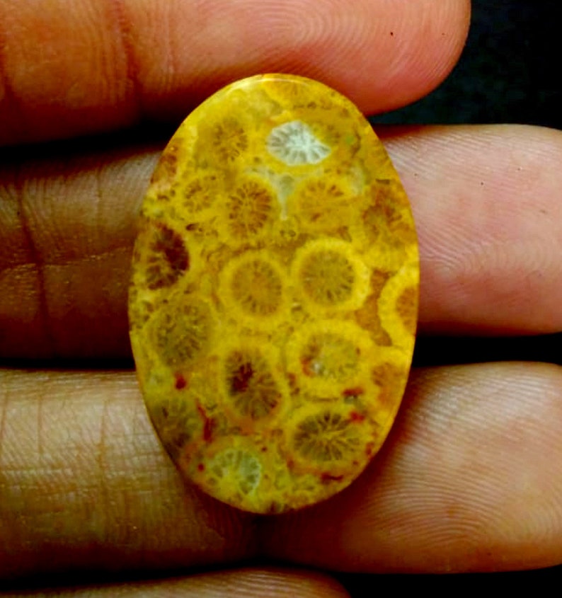 1 piece 30X20 MM Natural Fossil Coral Cabochon Oval Shape Very Nice 30 Carat