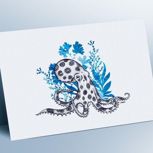 Limited Edition Fine Art Print - Blue Ringed Octopus - Art Print - Illustrated Print - Ocean Art - Hand Drawn Print - Janina Rossiter