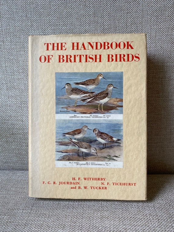 RSPB Book Of British Birds : Saunders, David, Cusa, Noel - Foto 6